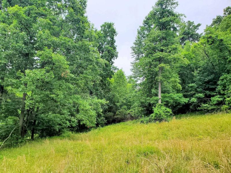 Ironton, Lawrence County, OH Homesites for sale Property ID: 417012481