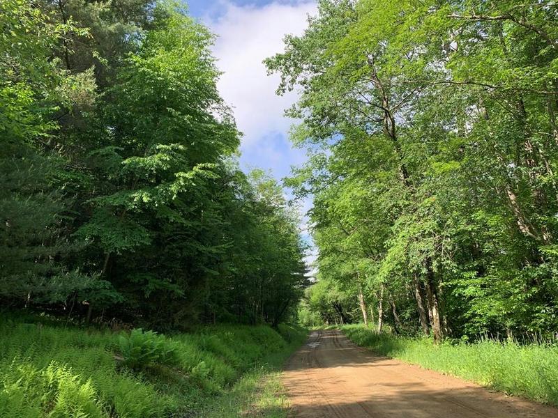1 BACK RD, Coudersport, PA 16915 Land For Sale  MLS# 31716658