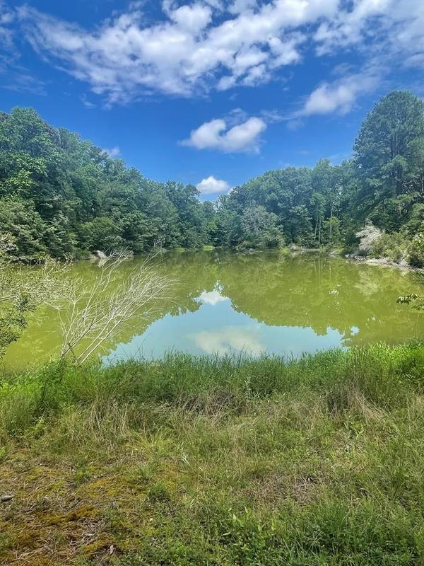 Lancaster, Lancaster County, VA for sale Property ID: 418545167