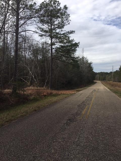 Hybart, Monroe County, AL Recreational Property, Undeveloped Land, Hunting Property for sale Property ID: 336789031