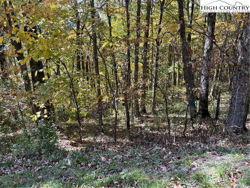 TBD ELK CREEK MOUNTAIN PARKWAY, Todd, NC 28684 Land For Sale  MLS# 246676