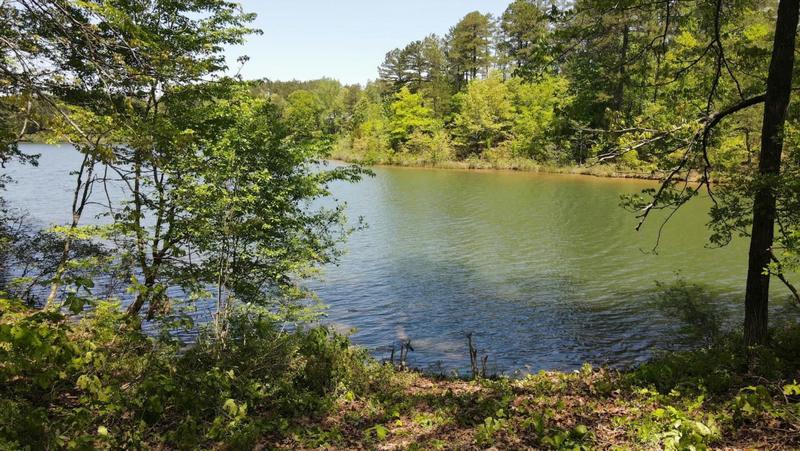 42 LAKEWOOD CV # CWL42, Saulsbury, TN 38067 Land For Sale  MLS# 10146713