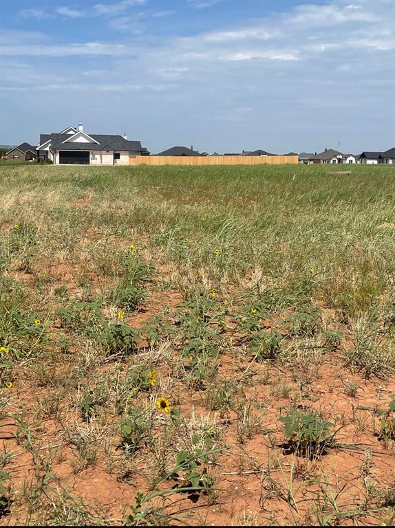 125 Sparrow Hills Ln, Tuscola, TX 79562 for Sale