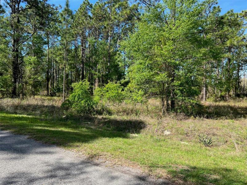00 SE 130TH COURT # LOT 22, DUNNELLON, FL 34431 Land For Sale  MLS# OM655674