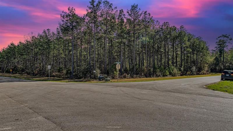 10999 Ruger Rd, Willis, TX 77378 for Sale