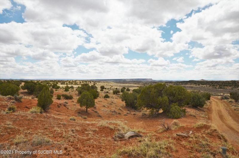 XX ROAD 1191, La Plata, NM 87418 Land For Sale  MLS# 22-1502