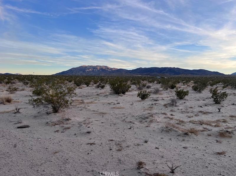 1234 El Paseo, 29 Palms MCB, CA 92277 - MLS JT23226856 for Sale