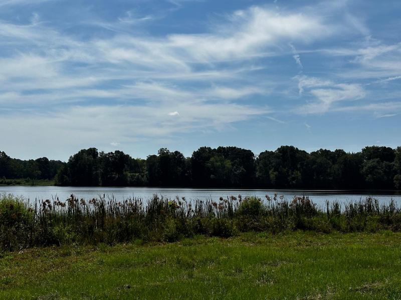 Lancaster, Lancaster County, SC Recreational Property, Timberland Property, Lakefront Property, Waterfront Property for sale