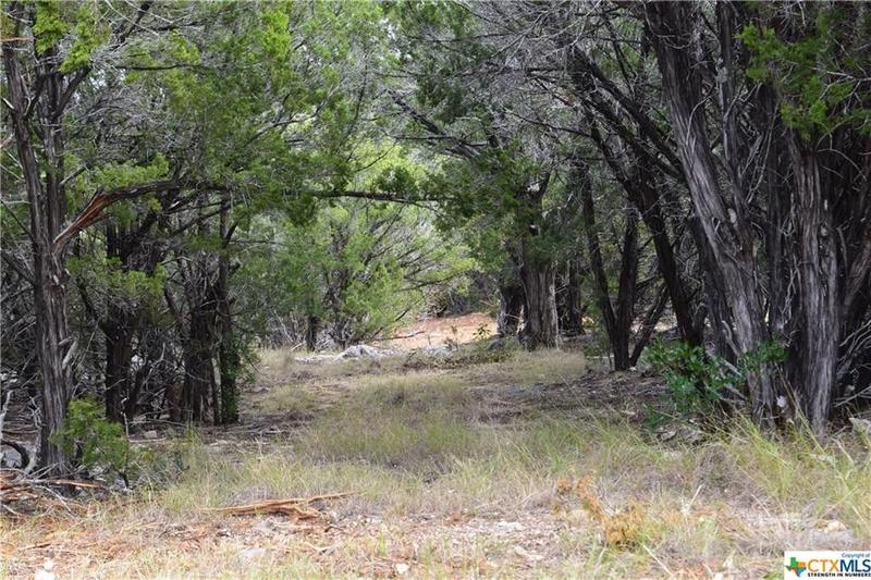 Lampasas, Lampasas County, TX Farms and Ranches for sale Property ID: 415372166