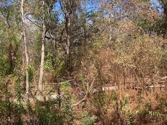 00 Neiman Road, Houston, TX 77091 for Sale