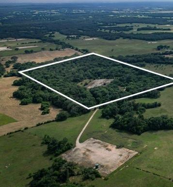 TBD CR 445, Fairfield, TX 75840 for Sale