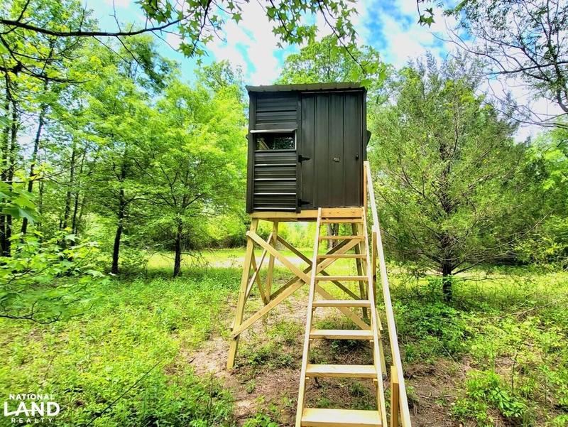 Hollister, Halifax County, NC Recreational Property, Timberland Property, Hunting Property for sale Property ID: 417049740