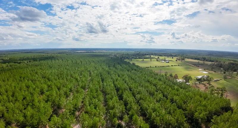 0000 Timber Road, Livingston, TX 77351 for Sale