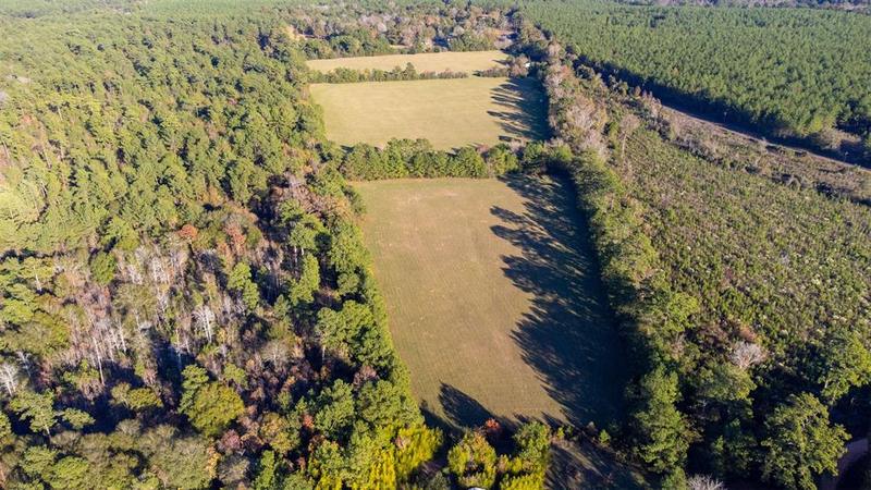 tbd County Rd 4420, Spurger, TX 77660 for Sale