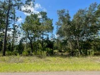 Citrus Springs, Citrus County, FL Farms and Ranches, Homesites for sale Property ID: 416188279