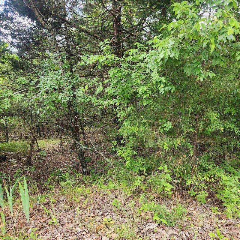 Cherokee Village, Sharp County, AR Undeveloped Land, Homesites for sale Property ID: 416915908