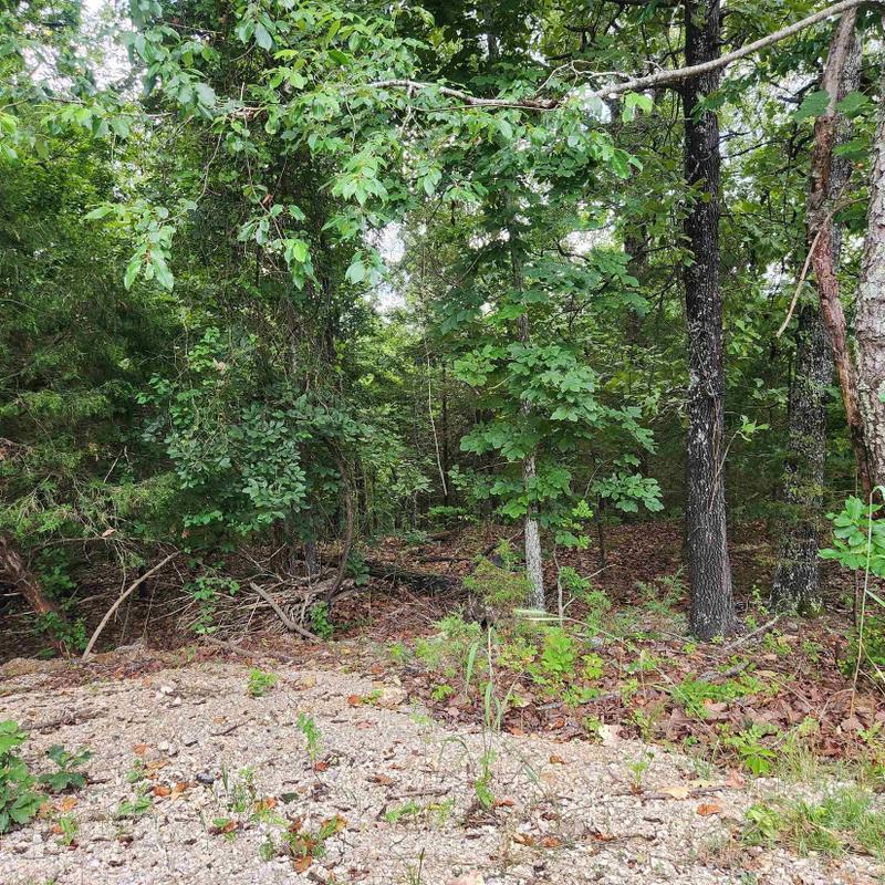 Cherokee Village, Sharp County, AR Undeveloped Land, Homesites for sale Property ID: 416915907