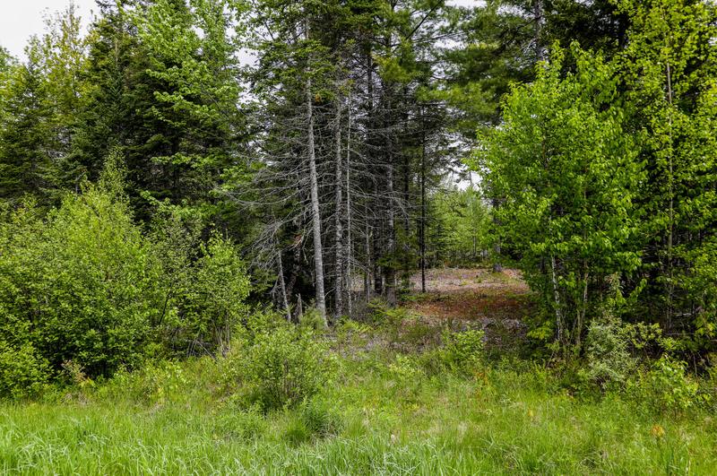 49 Peaceful Point Rd, Waltham, ME 04605 - MLS 1579444 for Sale