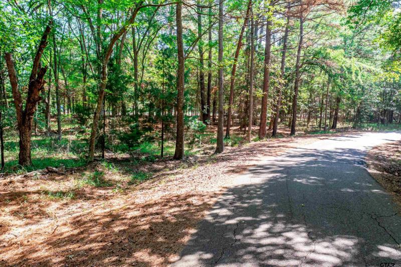 27 WILDWOOD TRL, Mt Vernon, TX 75457 Single Family Residence For Sale  MLS# 24000092