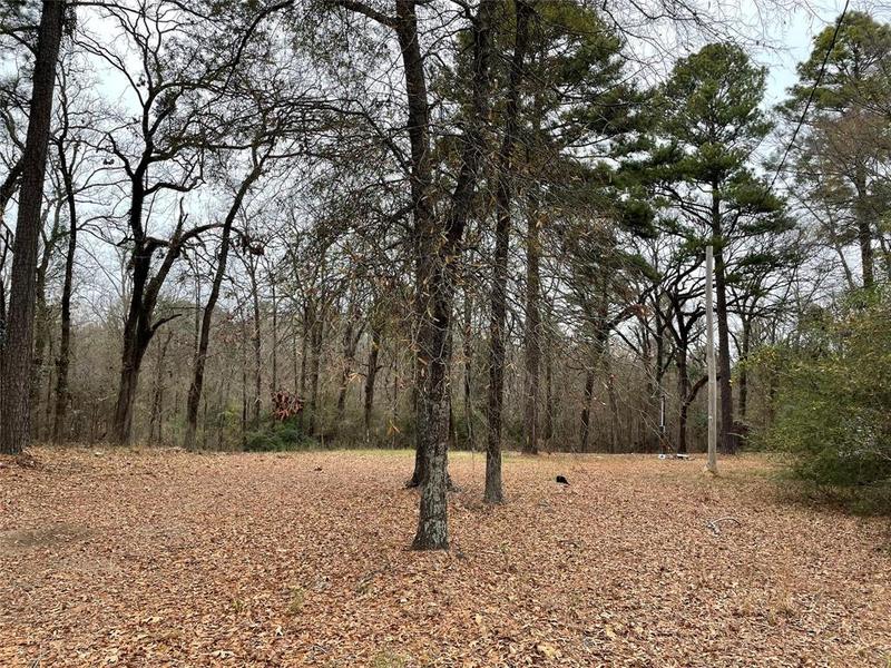 9815 Caddo Lake Rd, Mooringsport, LA 71060 for Sale