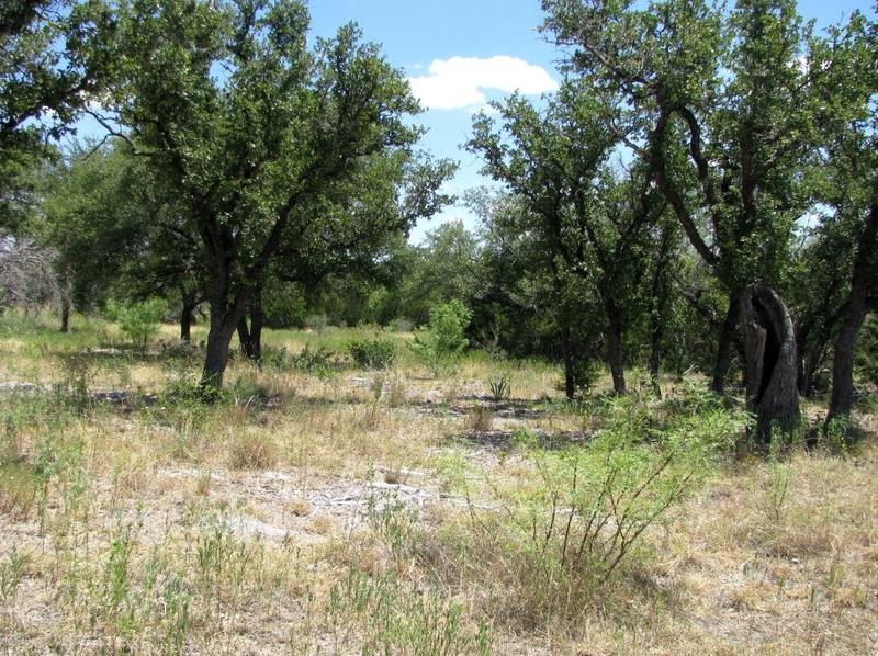 Tbd Pr4218, Evant, TX 76525 - MLS 20402496 for Sale