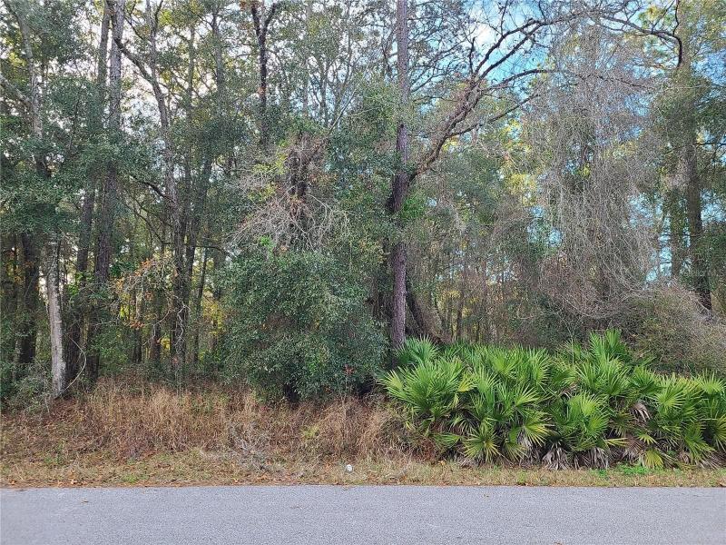 Ocala, Marion County, FL Undeveloped Land, Homesites for sale Property ID: 418530574