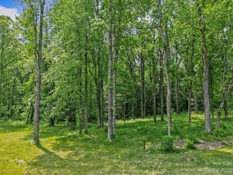 Fletcher, Henderson County, NC Undeveloped Land, Homesites for sale Property ID: 417062947