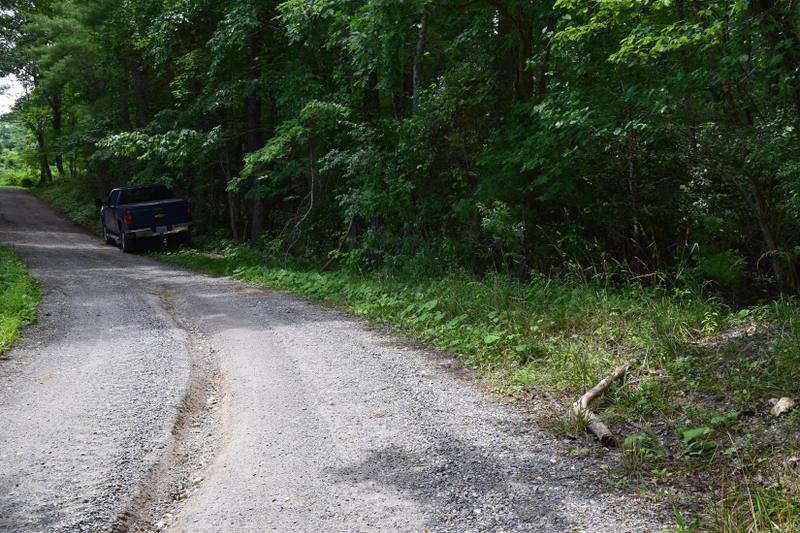 Pilot, Floyd County, VA Undeveloped Land for sale Property ID: 416950345