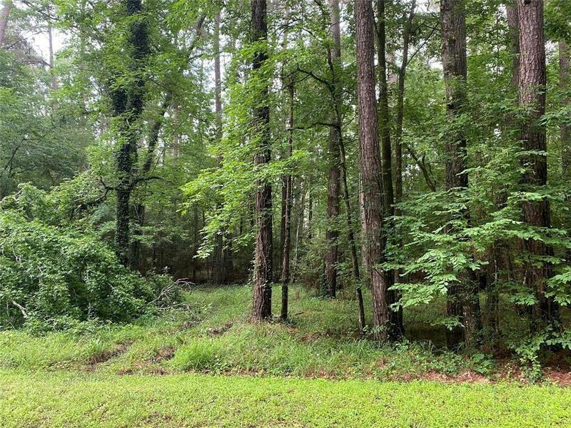 0 GOVERNOR PEASE CIRCLE, Point Blank, TX 77364 Land For Sale  MLS# 15831943