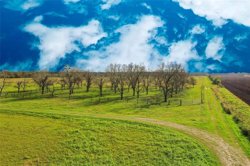 0 County Road 241, WHARTON, TX 77488 for Sale