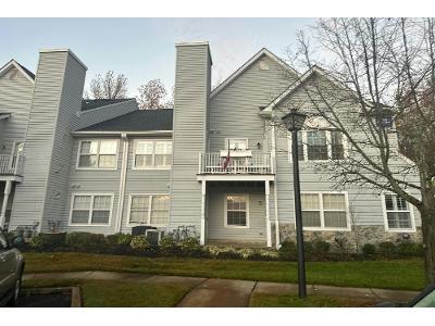 Rabbit Run Rd for Sale
