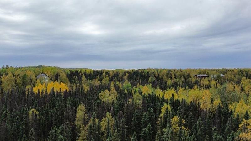 Willow, Matanuska-Susitna Borough, AK Recreational Property, Undeveloped Land, Homesites for sale Property ID: 418040185