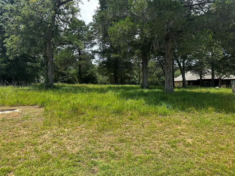 0 N FALLS DR, New Ulm, TX 78950 for Sale