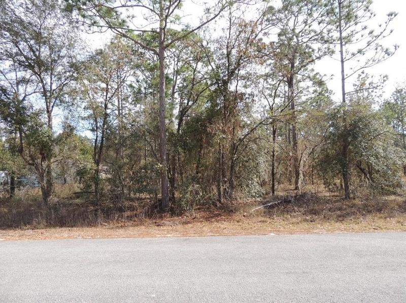00 SE 126th Terrace, Dunnellon, FL 34431 - MLS OM660997 for Sale