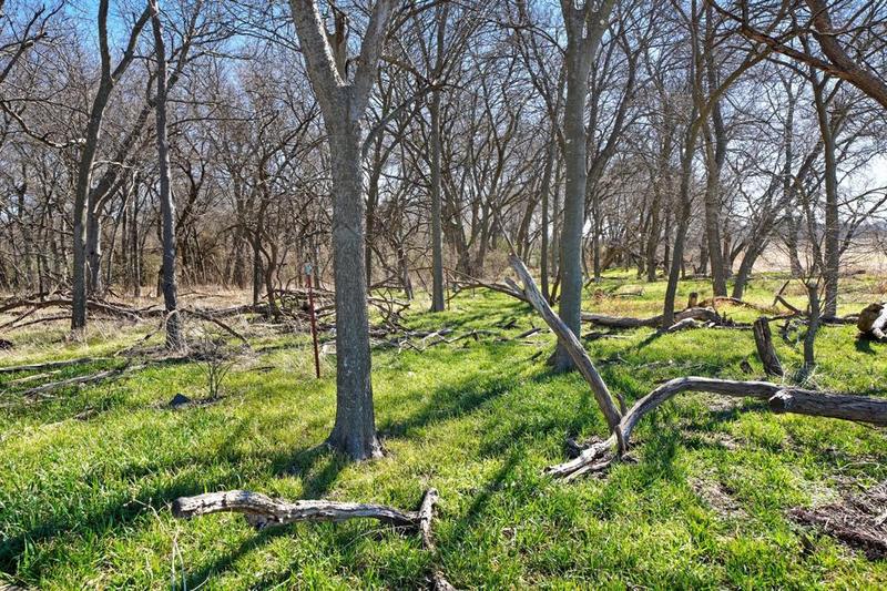 TBD Lot 10 County Road 102, Grandview, TX 76050 for Sale