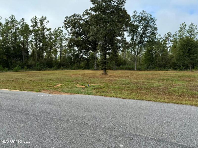 221 GRACIES WAY, Lucedale, MS 39452 Land For Sale  MLS# 4060761