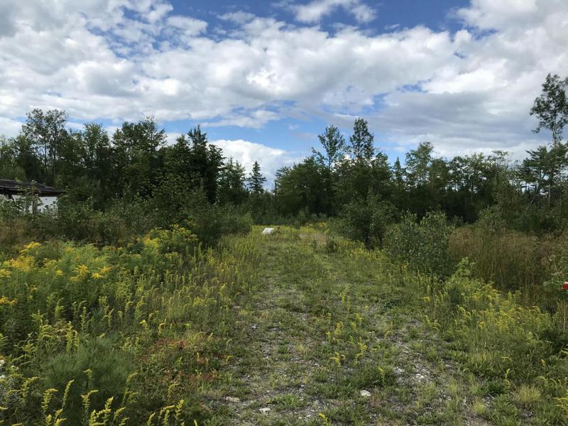 824 NORTH RD, Medford, ME 04463 Land For Sale  MLS# 1523465