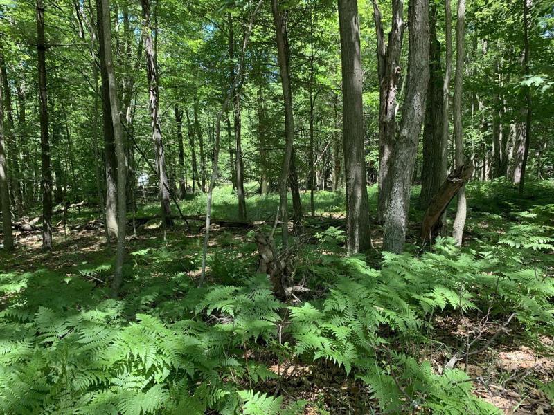Mears, Oceana County, MI Undeveloped Land, Homesites for sale Property ID: 414211212