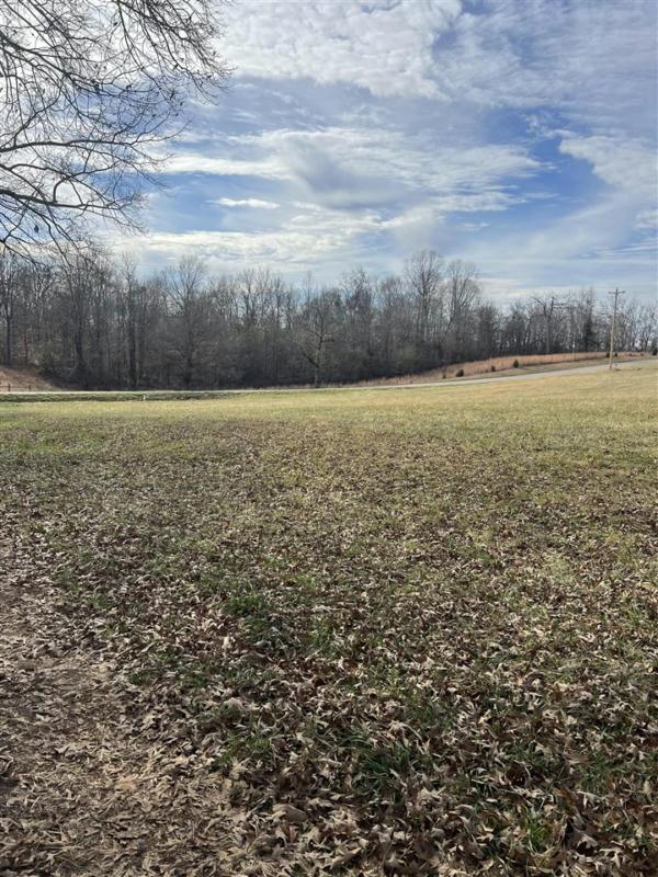 TRACT 2 MEADOR PORT OLIVER ROAD, Scottsville, KY 42164 Land For Sale  MLS# RA20235785