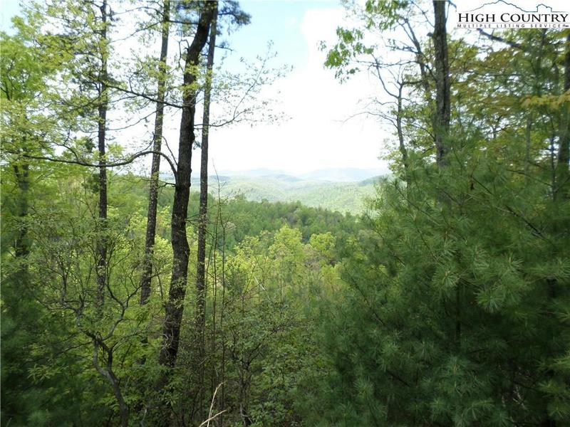 55, Ferguson, NC 28624 Land For Sale  MLS# 245805