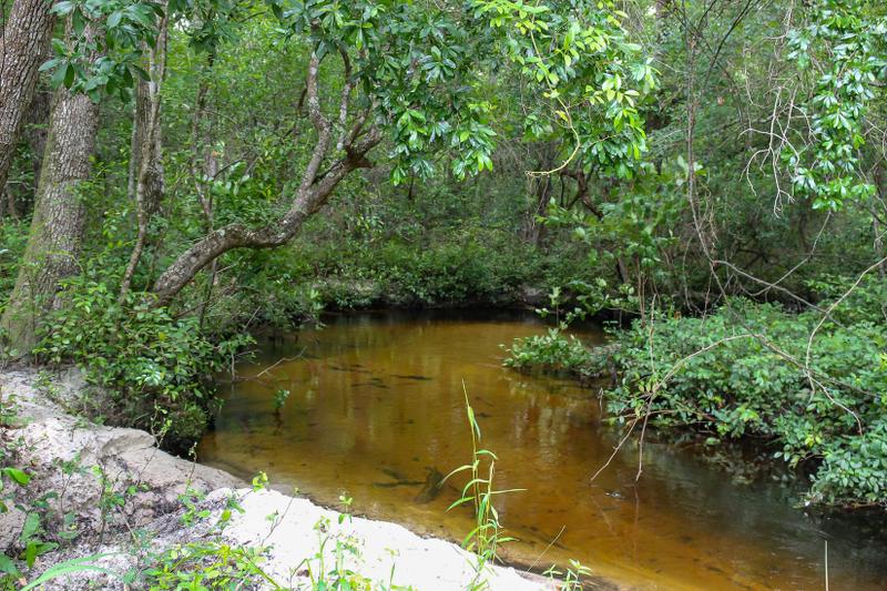 Williston, Aiken County, SC Recreational Property, Timberland Property, Horse Property for sale Property ID: 416711164