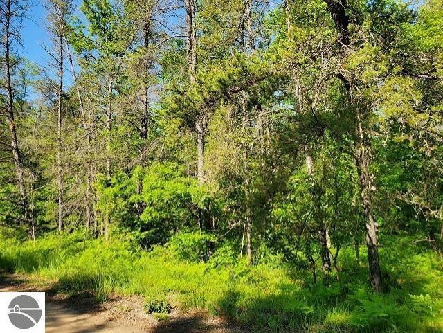 0 QUIGLEY ROAD, Alger, MI 48610 Land For Sale  MLS# 1901053