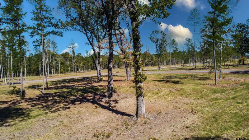 15703 Aniston Lane (LOT 5), Flint, TX 75762 for Sale