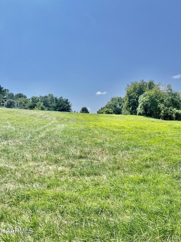 Harrogate, Claiborne County, TN Homesites for sale Property ID: 414338192