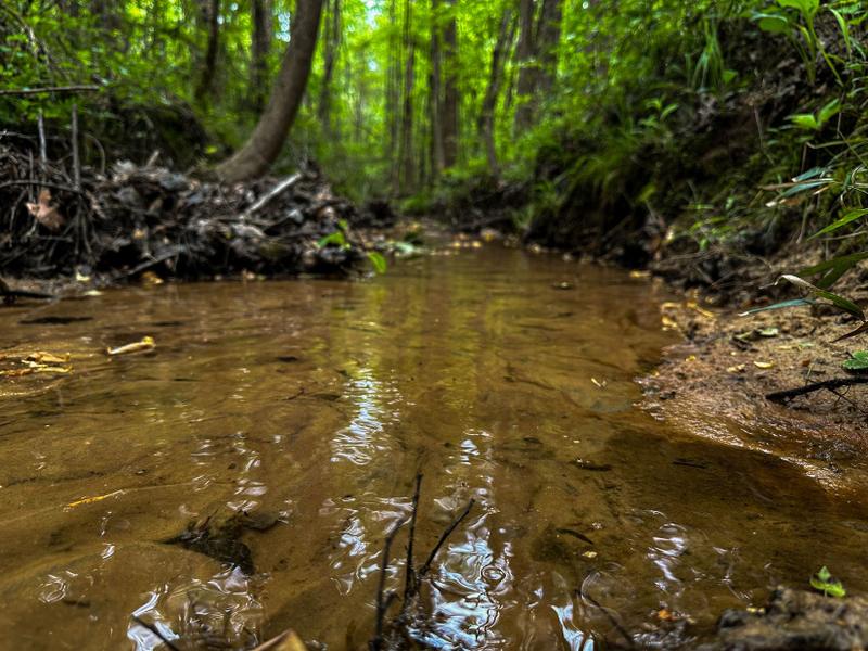 Booneville, Prentiss County, MS Farms and Ranches, Hunting Property for sale Property ID: 416504313