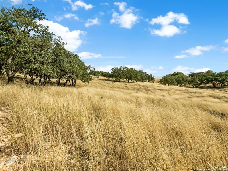 LOT 103 Cattlemans Crossing Drive, Kerrville, TX 78028 for Sale
