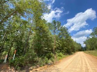 Millry, Washington County, AL Recreational Property, Timberland Property, Hunting Property for sale Property ID: 416719105