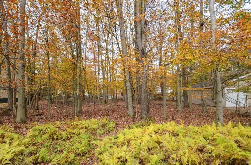 Bumble Bee #552, Coolbaugh Twp, PA 18466 - MLS 730652 for Sale