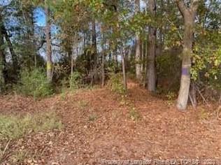 Beaver Dam Rd, Autryville, NC 28318 - MLS LP715464 for Sale