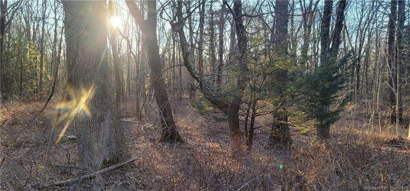 1-11 Westford Road, Eastford, CT 06278  604948451 for Sale